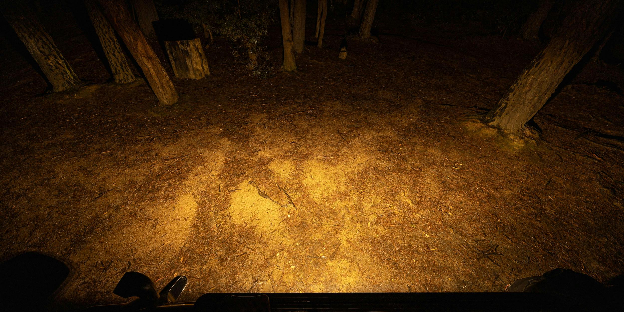 STEDI Micro V2 7.8" 12 LED Flood Light (2700K)