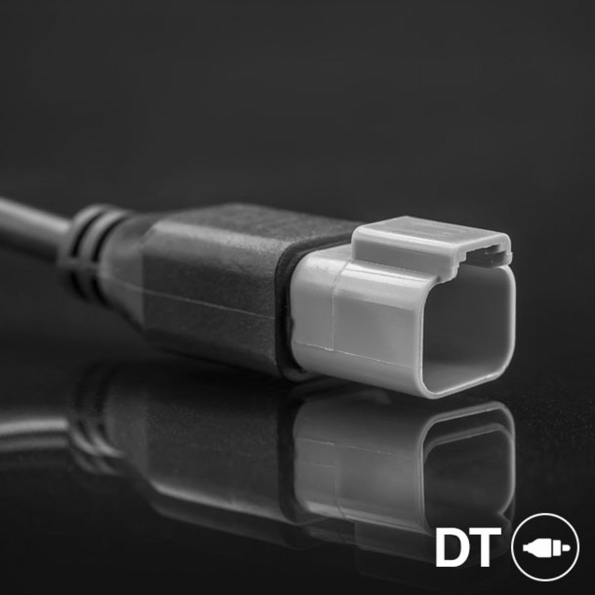 STEDI C-4 Black Edition LED Light Cube (Flood)