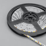 STEDI LED Strip Light 12V Waterproof 5M Roll